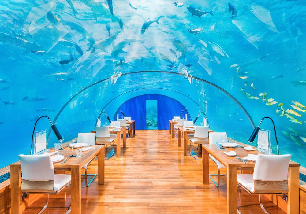 Ithaa Undersea Restaurant at Conrad Maldives Rangali Island thumbnail 8